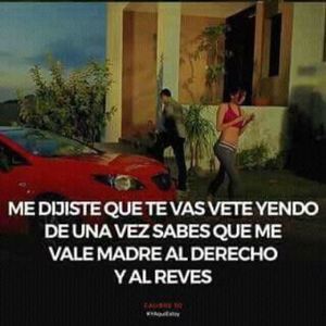 Meet your Posher, Pedro